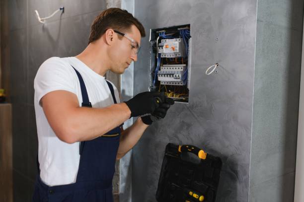 Best Ceiling Fan Installation Electrician  in Chippewa Falls, WI